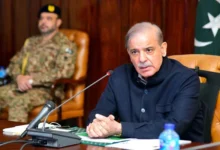 وقف إطلاق النار بين باكستان والهند شهباز شريف يشكر ترامب ويطلع القادة